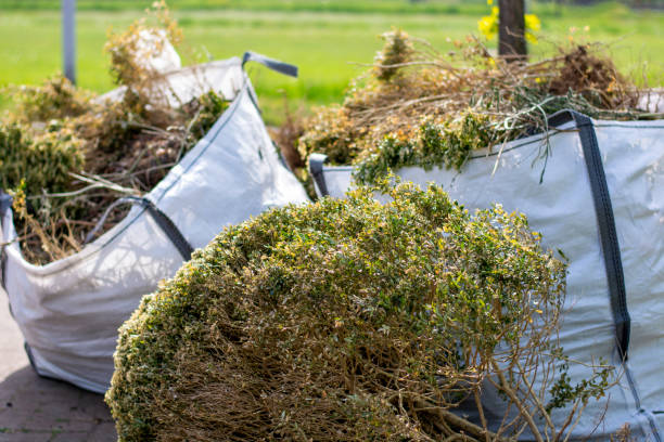 Best Professional Junk Removal  in Alhambra, CA
