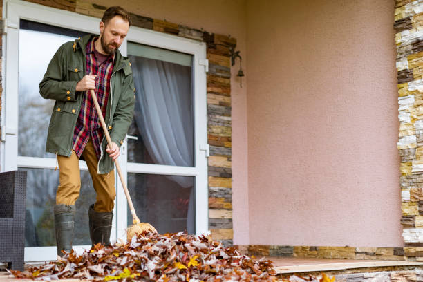 Best Basement Cleanout Services  in Alhambra, CA